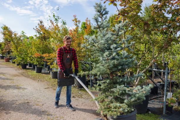 Best Tree and Shrub Care  in Johnsonville, SC